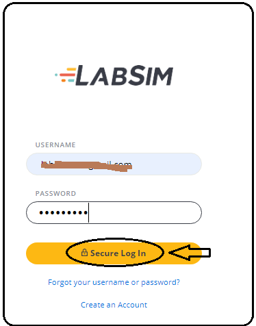 enter logins on the Testout Login page